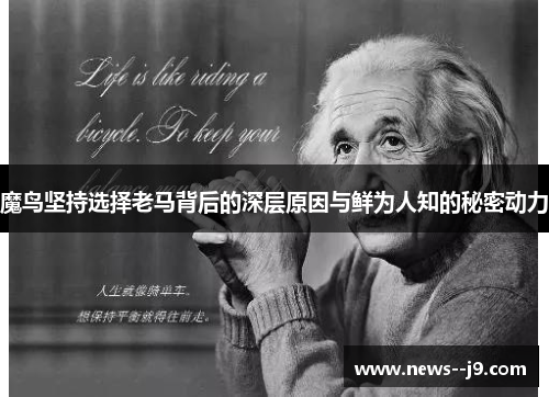魔鸟坚持选择老马背后的深层原因与鲜为人知的秘密动力