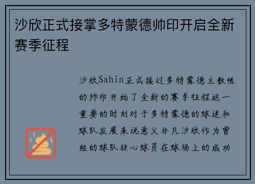 沙欣正式接掌多特蒙德帅印开启全新赛季征程